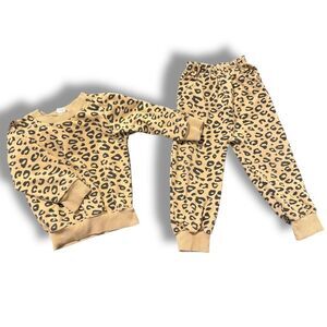 Leopard Print Sweater and Pants Set